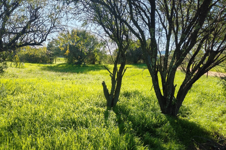 0 Bedroom Property for Sale in Koringberg Western Cape